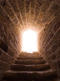 bob maunsell's trust tunnel